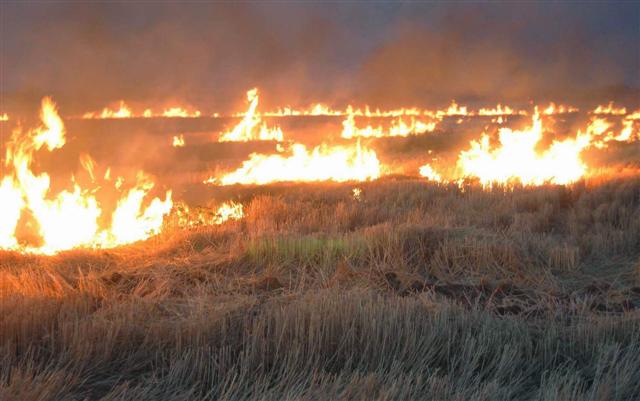 ANIZ YANGINLARININ ÖNLENMESİ
