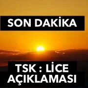 TSK’dan Lice Açıklaması Geldi