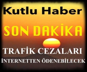 Trafik Cezası Sorgulamak Ve İnternetten Ceza Ödeme Artık Mümkün..