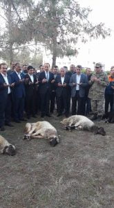 SAMSAT’TA DEPREM SONRASINDA KURBANLAR KESİLDİ.