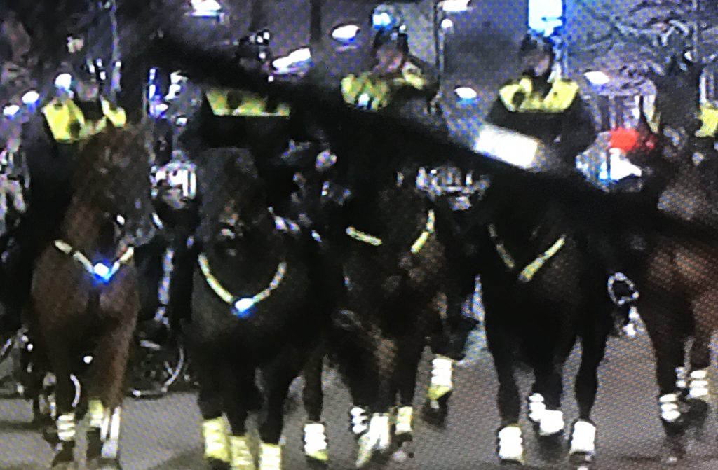 HOLLANDA BAKANLARIMIZA İNANILMAZ MUAMELE