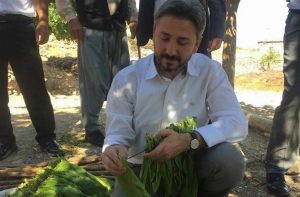 TBMM BAŞKANVEKİLİ AHMET AYDIN, ” TÜTÜN, ADIYAMAN’IN GÖZ NURU, ALIN TERİ, EKMEK TEKNESİDİR ”