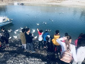 Minik Yürekler Ördekleri Elleriyle Besledi