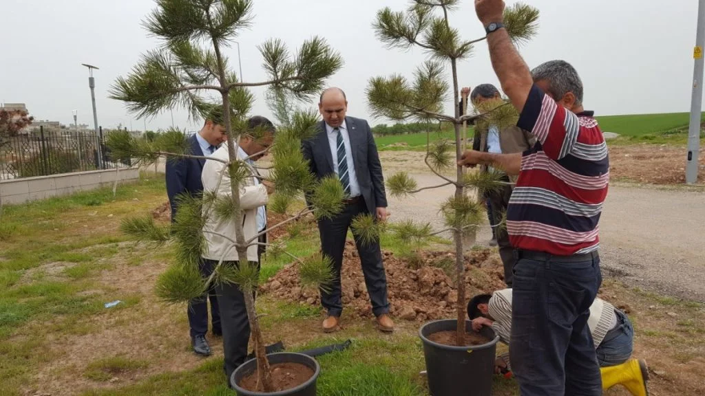 Kahta’da Ağaçlandırma Seferberliği Başladı