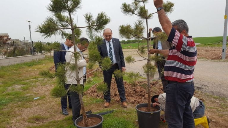 Kahta’da Ağaçlandırma Seferberliği Başladı