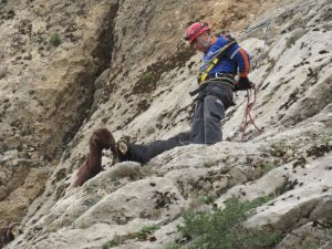 Dağda Mahsur Kalan Keçileri, AFAD Kurtardı