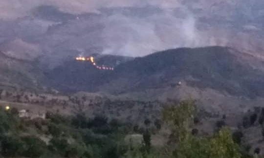 Gerger’de Korkutan Orman Yangın