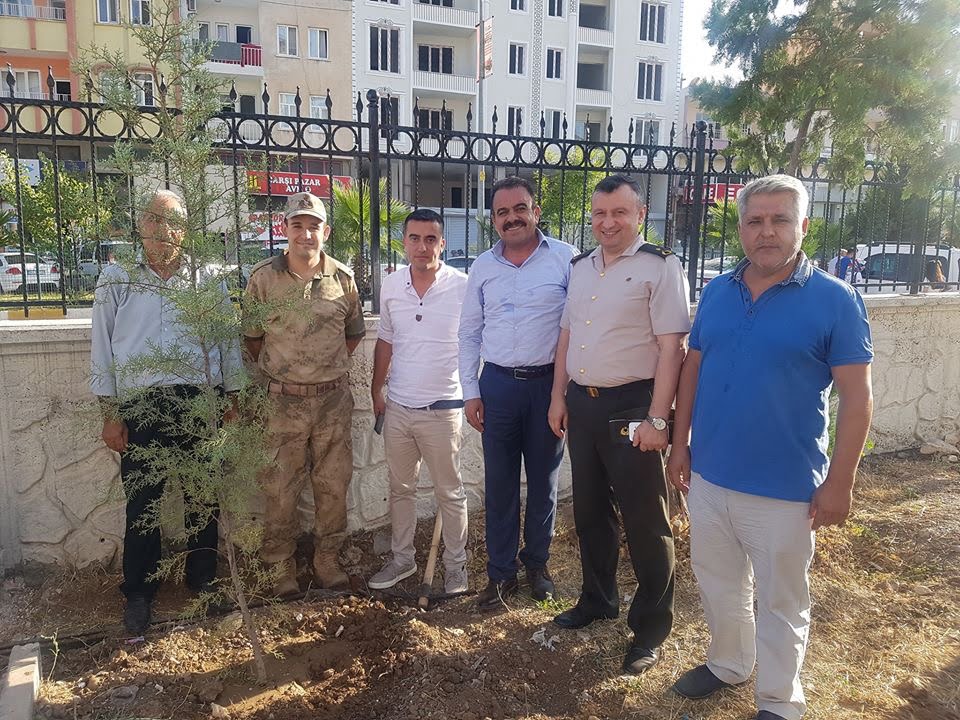 Kahta’da Şehit Aileleri Anısına Fidan Dikimi Yapıldı.