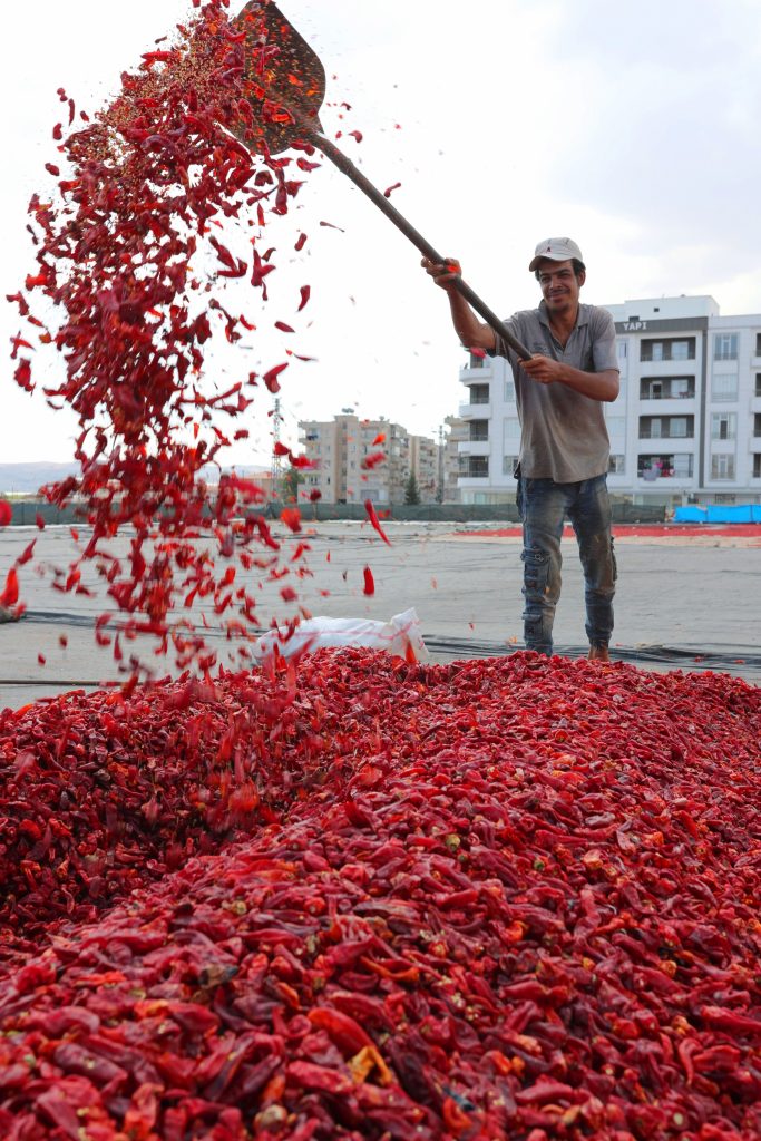 İsot Üreticileri İçin Müjdeli Haber