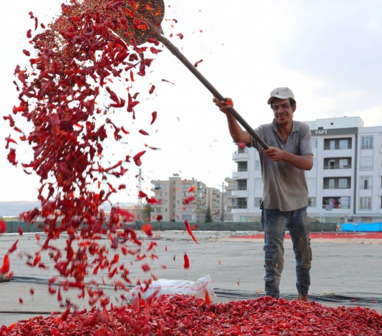 İsot Üreticileri İçin Müjdeli Haber