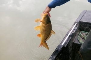 Av Yasağı Denetimleri Aralıksız Devam Ediyor