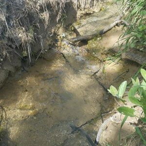 Kahta’da 20 Yıl Önce Kuruyan Çeşmelerden Su Aktı