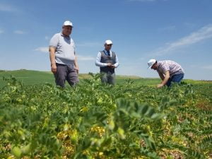 Başkan Turanlı:”Ziraat Odası Olarak Her Zaman Çiftçilerimizin Yanındayız”-Videolu Haber