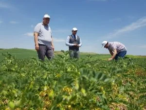 Başkan Turanlı:”Ziraat Odası Olarak Her Zaman Çiftçilerimizin Yanındayız”-Videolu Haber