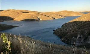 Kahta’nın makro ve mikro sorunları ile siyasi demagoji.