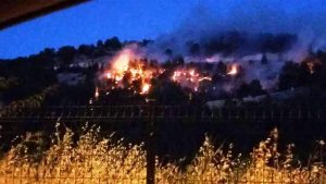 Adıyaman’da Orman Yangını