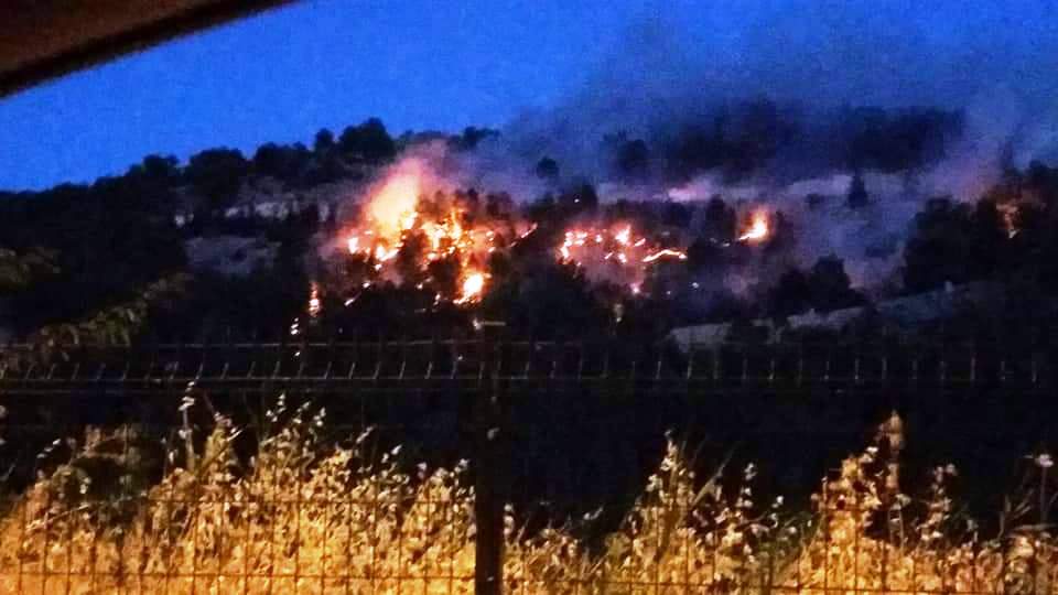 Adıyaman’da Orman Yangını