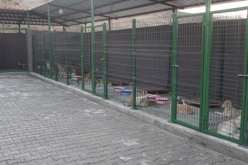 Hayvan Barınağı Hizmete Girdi