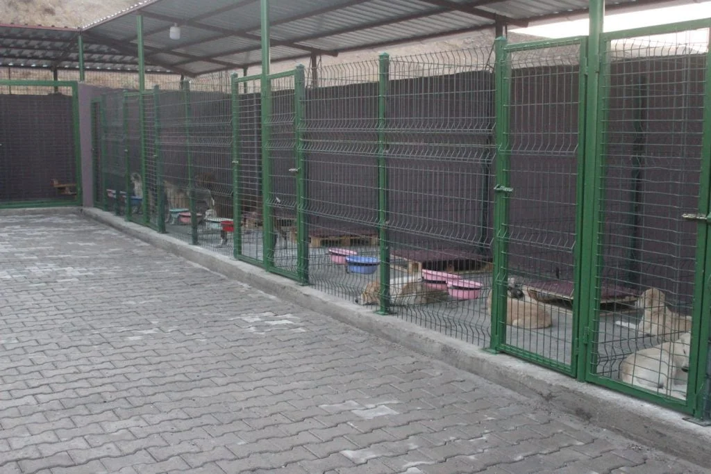 Hayvan Barınağı Hizmete Girdi