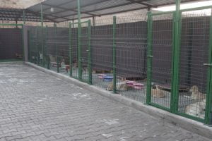 Hayvan Barınağı Hizmete Girdi