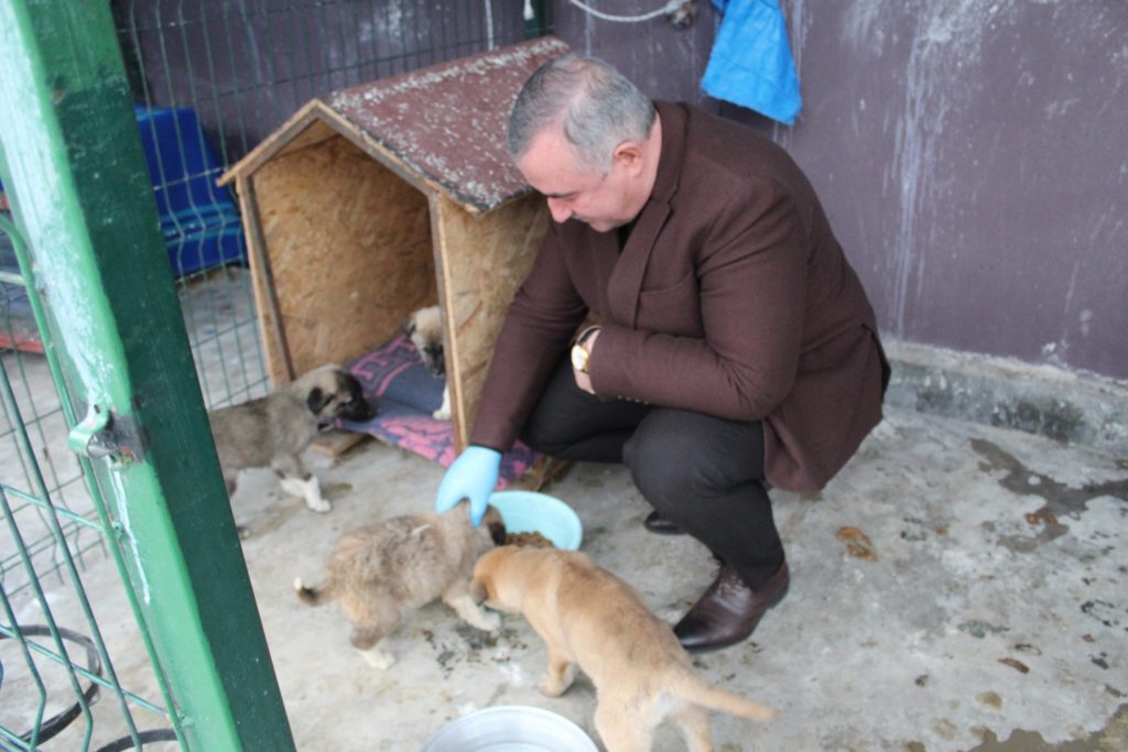 Belediye Başkanı Turanlı; soğuk havalarda can dostlarımızı unutmayalım