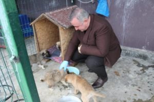 Belediye Başkanı Turanlı; soğuk havalarda can dostlarımızı unutmayalım