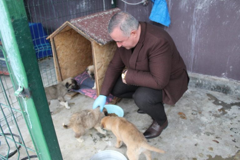 Belediye Başkanı Turanlı; soğuk havalarda can dostlarımızı unutmayalım