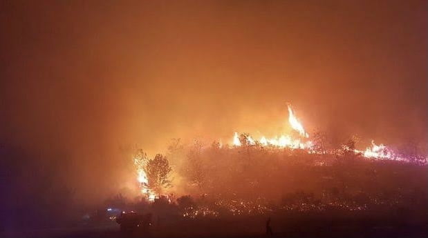 Manavgat’ta korkutan yangın