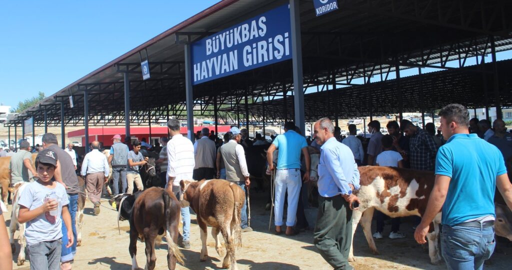 Kahta Kapalı Hayvan Pazarı hizmete girdi.