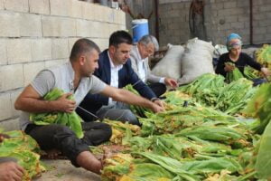 Kaymakam Korkutata, Bölükyayla Beldesinde Ziyaretlerde Bulundu.