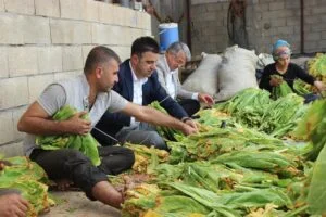 Kaymakam Korkutata, Bölükyayla Beldesinde Ziyaretlerde Bulundu.