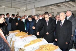 Çelikhan Tütün Kooperatifi İlk Alımı Yaptı