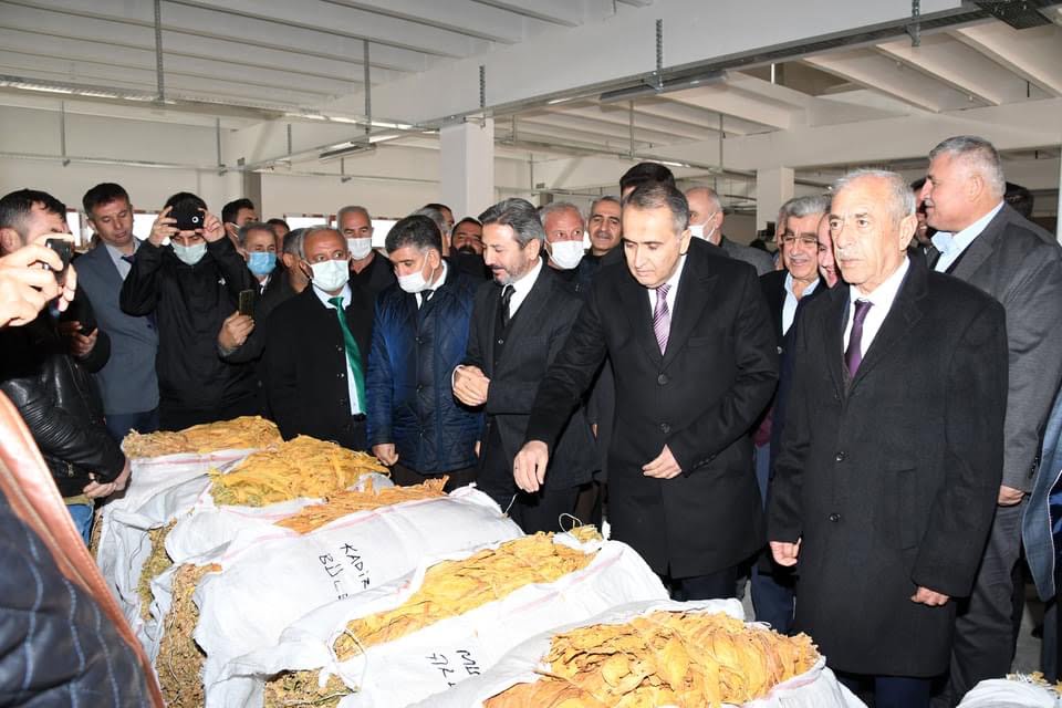 Çelikhan Tütün Kooperatifi İlk Alımı Yaptı