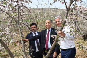 KAHTA’DA NEMRUT BADEM ÇİÇEĞİ FESTİVALİ