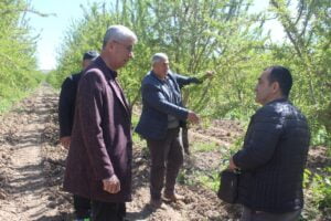 Hava sıcaklığının eksi 4 dereceye düşmesiyle oluşan don, badem ağaçlarına büyük ölçüde zarar verdi.