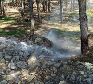 Ormanlık alandaki yangın kontrol altına alındı