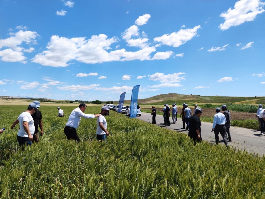 Kahta’da ‘Tarla Günü’ düzenlendi