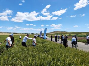 Kahta’da ‘Tarla Günü’ düzenlendi