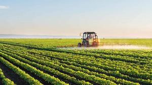 MALİYETLER ÜRETİMİ DÜŞÜRDÜ