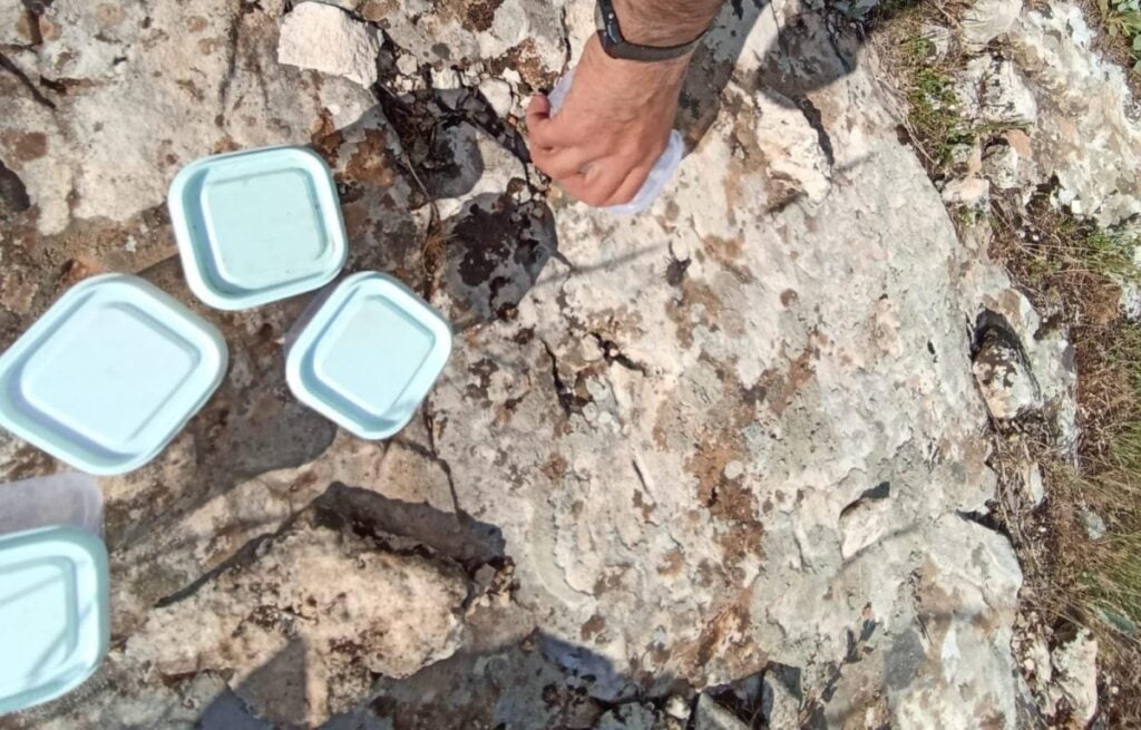 İzinsiz akrep toplayan şüphelilere para cezası