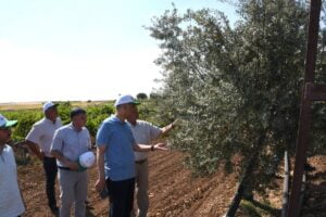 Vali Çuhadar’dan 1 milyon sertifikalı meyve fidanı üretimi yapılan köye ziyaret