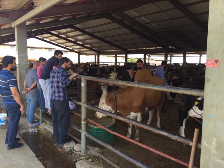 Kurban satış ve kesim alanları belirlendi