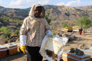 Adıyaman’da bal fiyatları belirlendi