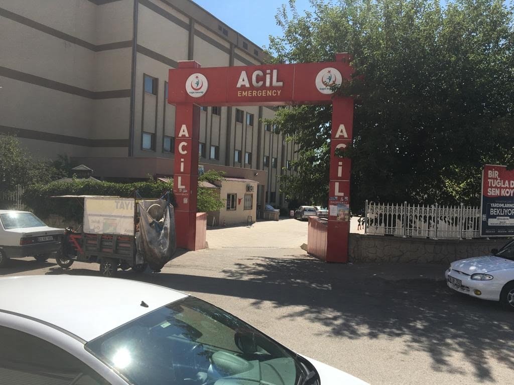 Tüfekle yılanı vurmak isterken yengesini vurdu