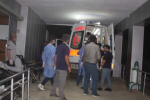 Kayısı işçilerini taşıyan minibüs tütün tarlasına devrildi: 14 yaralı