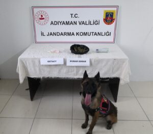 Otomobilde çıkan uyuşturucuya 1 tutuklama