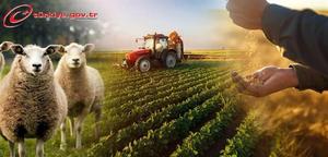 Çiftçi Kayıt Sistemi (ÇKS) Başvuruları Artık E-Devlette