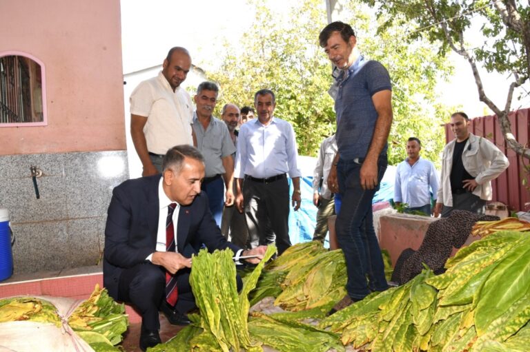 Vali Çuhadar’dan Doğanlı ve Çatalağaç köyüne ziyaret