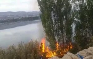 Gölbaşı’nda sazlık alanda yangın