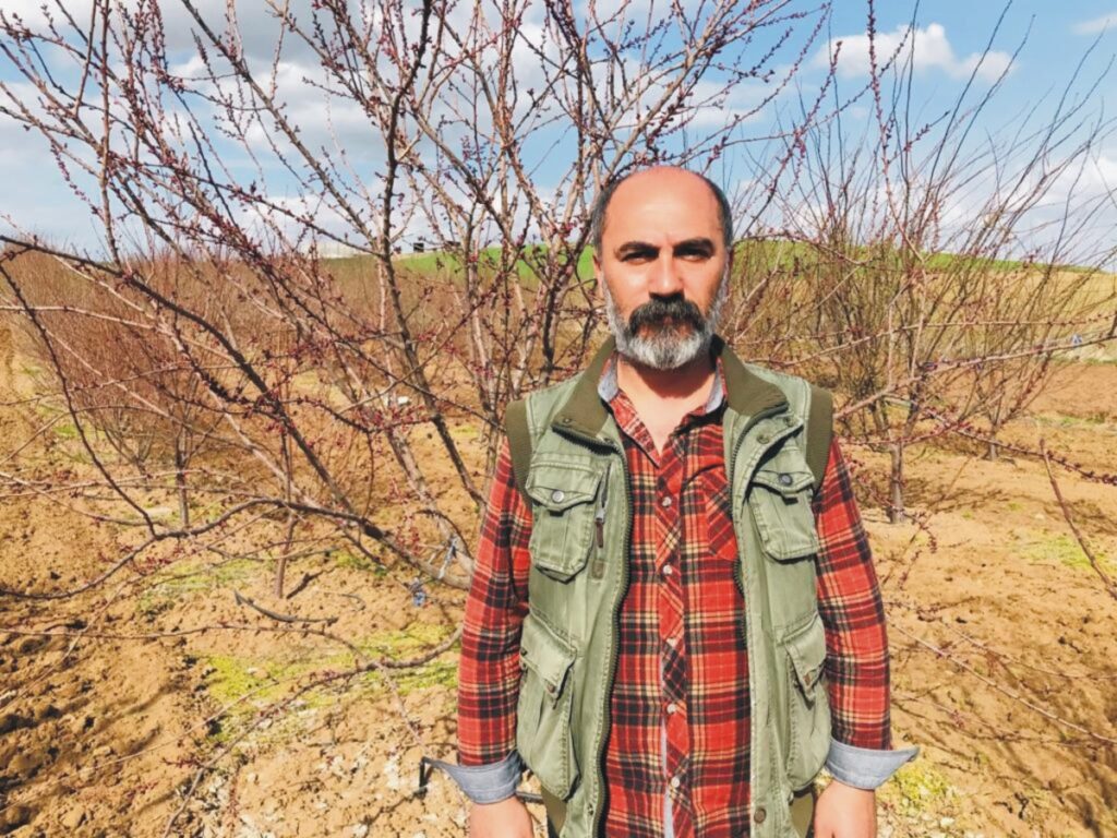 Badem üreticileri tüccara mahkum olmak istemiyor